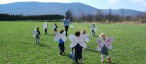 Pine Cobble School Preschool Science l Butterfly Release l Williamstown, MA